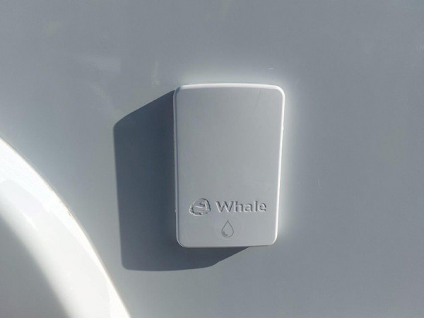 285 Whale