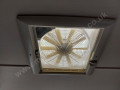 74262_20_0_359521_0
