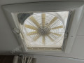 75306_13_0_368739_0