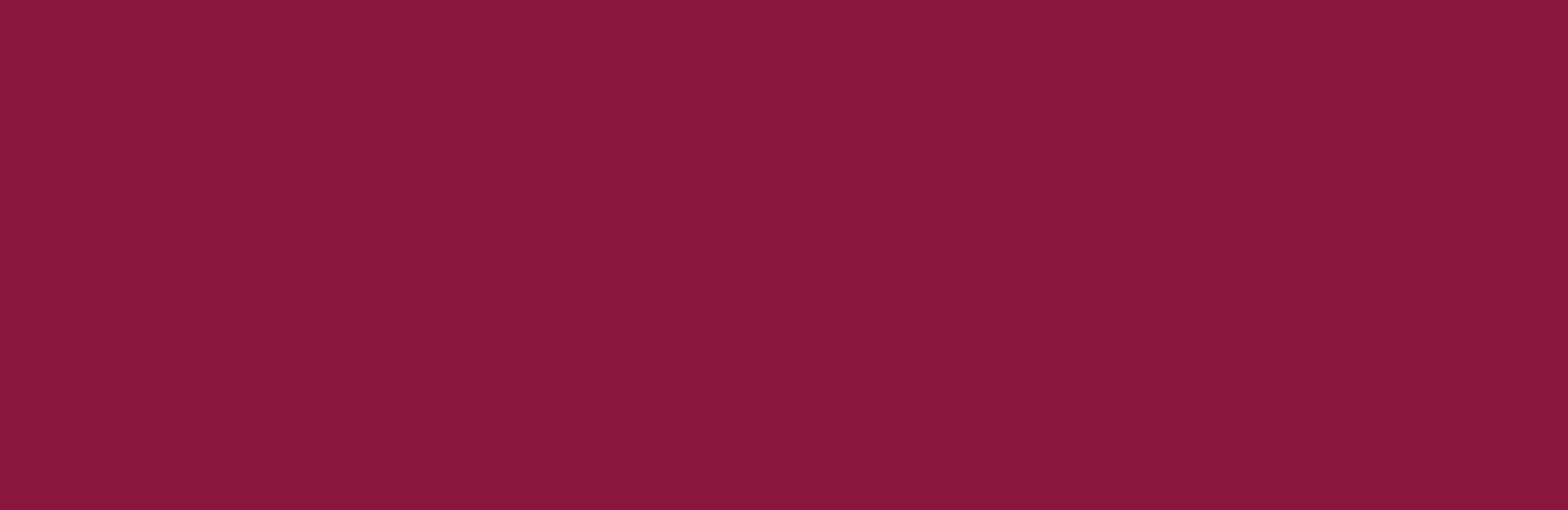 Fusion-Banner